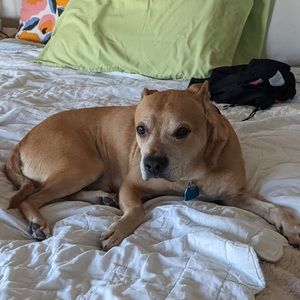 Meet your Posher, Lily